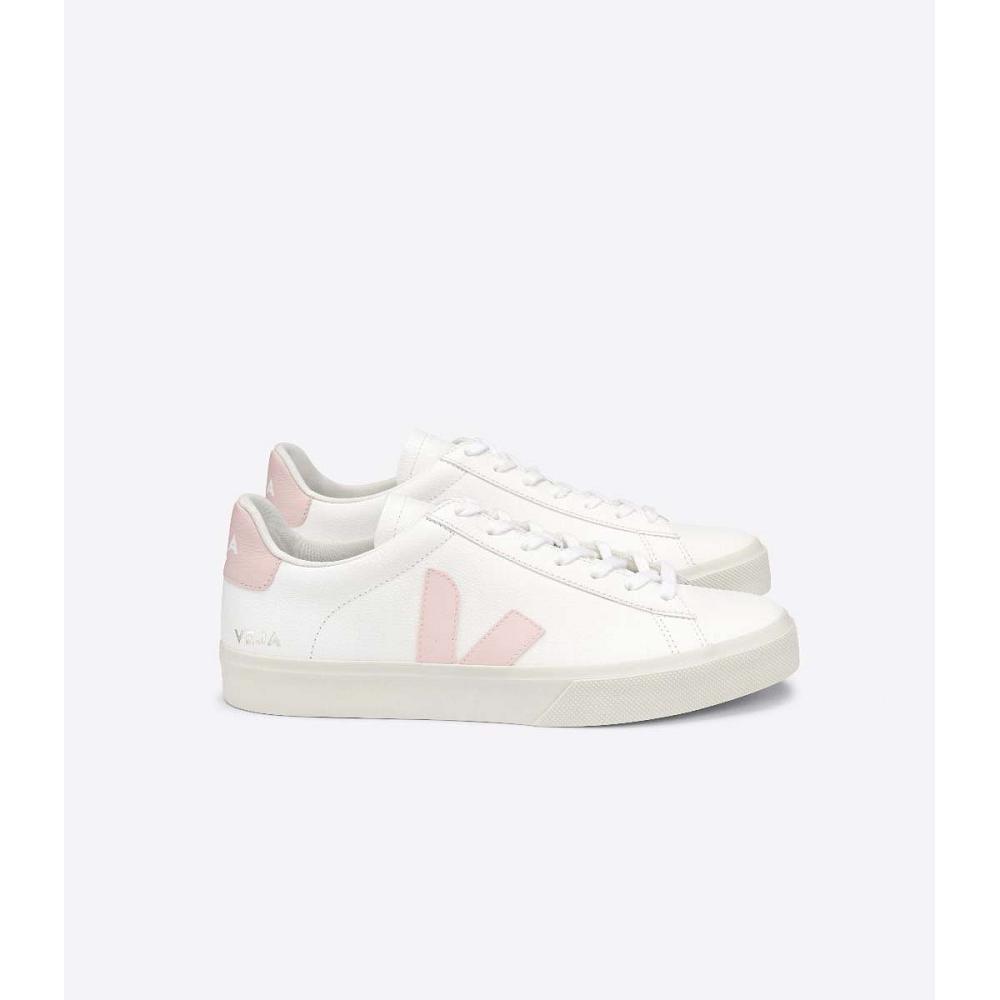 Veja CAMPO CHROMEFREE Low Tops Sneakers Dames White/Pink | NL 463KOR